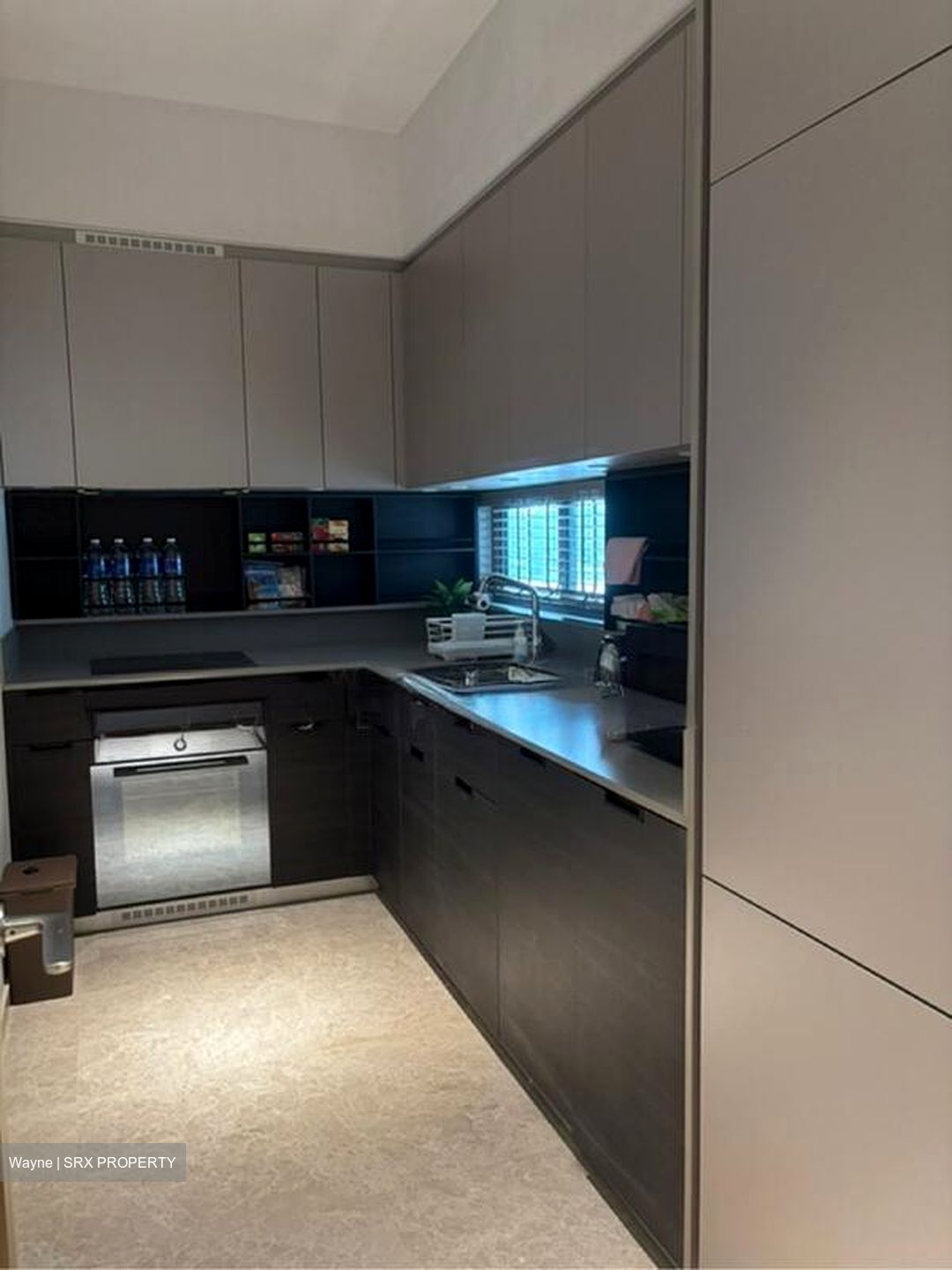 Haus On Handy (D9), Condominium #498811441